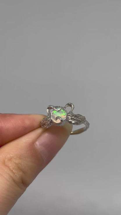 Opal Swans in Love - US 6.25/UK L1/2